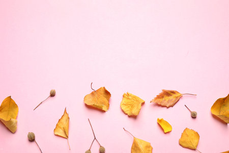 Flat lay composition with autumn leaves on pink background. Space for textの写真素材