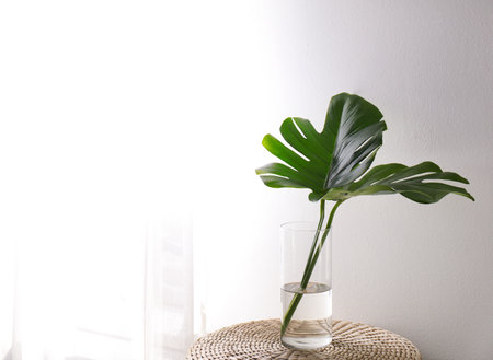 Green tropical leaves in vase on table. Modern decor for stylish interiorの写真素材