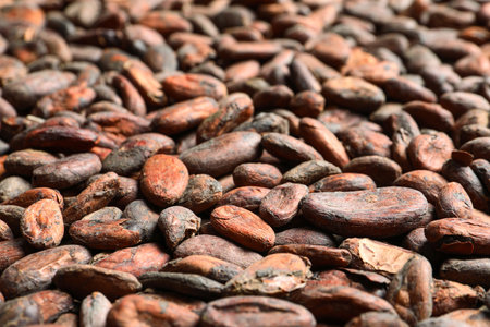 Tasty cocoa beans as background, closeup viewの写真素材