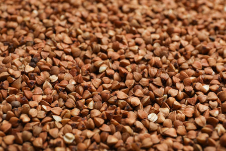 Uncooked organic buckwheat grains as background, closeupの写真素材