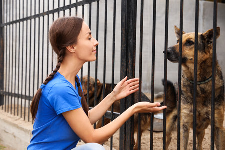 Female volunteer near dog cage at animal shelter outdoorsの写真素材