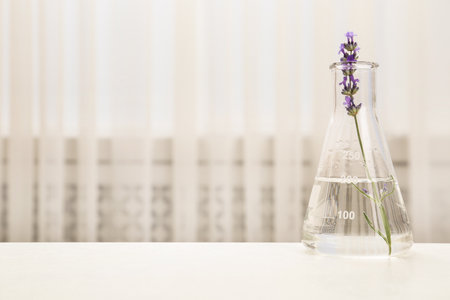 Conical flask with plant on table indoors. Space for textの写真素材