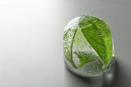 Ice cube with leaves on gray background. Space for textの写真素材
