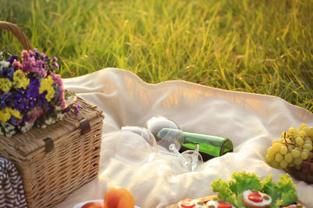 Blanket with picnic basket and wine on green grassの写真素材
