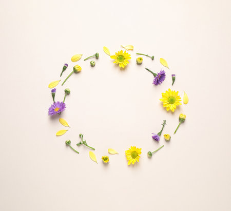 Frame made of beautiful chamomile flowers on beige background, flat lay. Space for textの写真素材