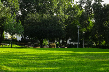 Beautiful view of green park with trees on sunny dayの写真素材