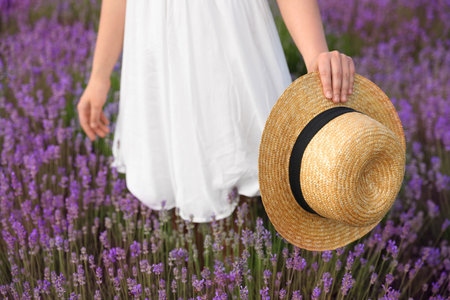 Young woman with straw hat in lavender field, closeupの写真素材