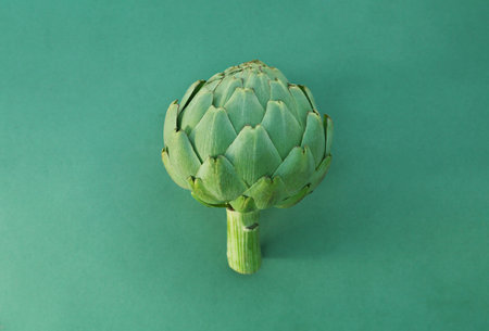 Whole fresh raw artichoke on green backgroundの写真素材