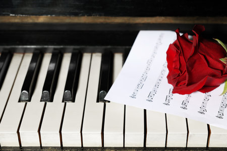 Beautiful red rose and musical notes on piano keys, space for textの写真素材