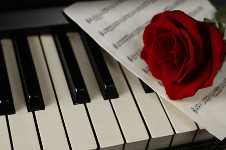 Beautiful red rose and musical notes on piano keys, closeup. Space for textの写真素材