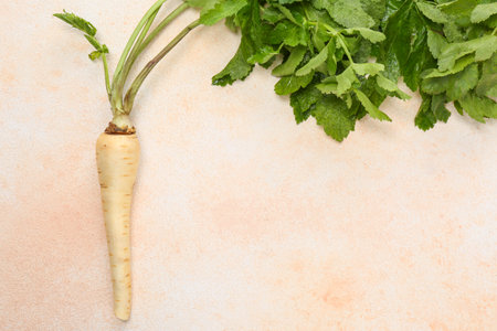 Fresh ripe parsnip on color textured background. Space for textの写真素材