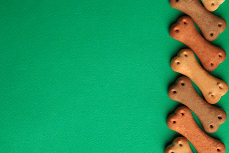 Bone shaped dog cookies on green background, flat lay. Space for textの写真素材