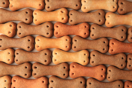 Bone shaped dog cookies on beige background, flat layの写真素材