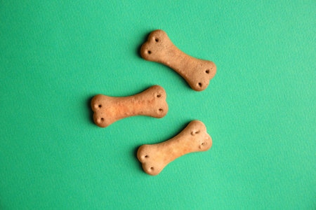 Bone shaped dog cookies on green background, flat layの写真素材