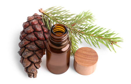 Bottle of pine essential oil, tree branch and cone on white backgroundの写真素材