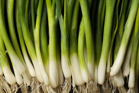 Fresh green spring onions as background, top view