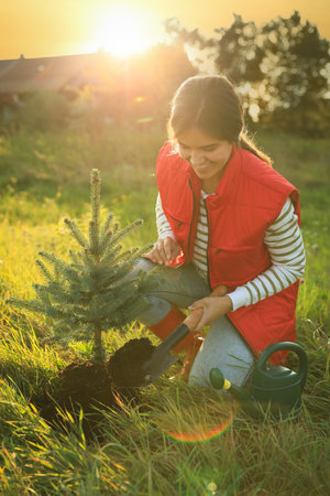Young woman planting conifer tree in countryside on sunny dayの写真素材