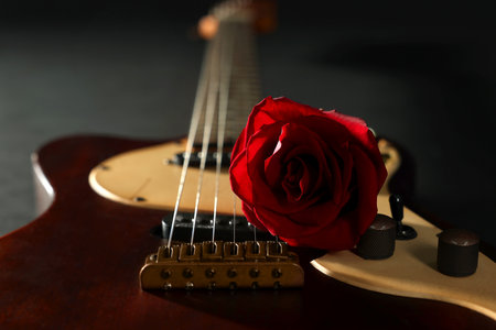 Beautiful rose and electric guitar on black background, closeup. Space for textの写真素材