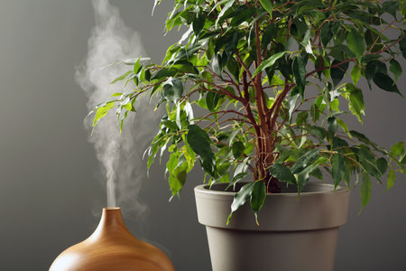 Air humidifier near houseplant against gray wall