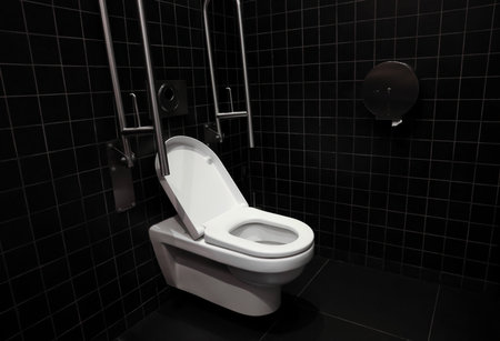 Clean ceramic toilet bowl and handrails on tiled wall indoorsの写真素材