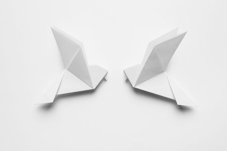 Beautiful origami birds on white background, flat layの写真素材