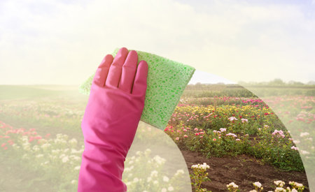 spring cleaning. Woman washing window, closeup. View on field with beautiful flowers through clear...
