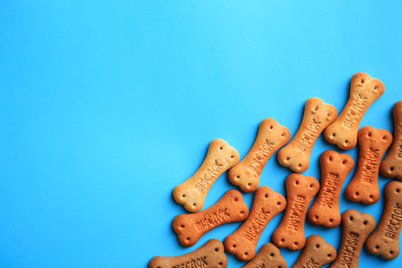 Bone shaped dog cookies on light blue background, flat lay. Space for textの写真素材
