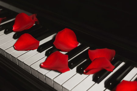 Many red rose petals on piano keys, closeupの写真素材
