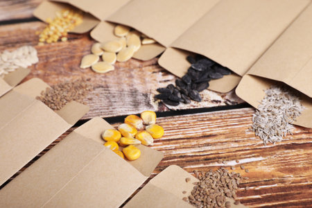 Many different vegetable seeds on wooden table, closeupの写真素材