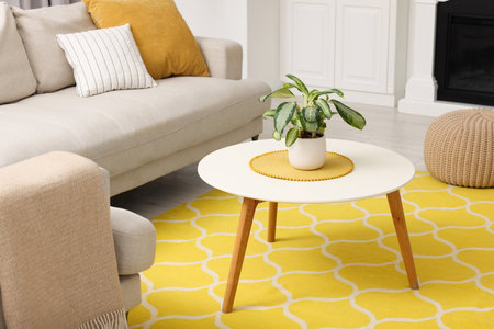 spring atmosphere. Cozy furniture and potted plant in stylish roomの写真素材