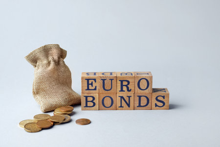 Word Eurobonds made of wooden cubes with letters and coins on light gray backgroundの写真素材