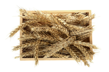 Wooden crate with ears of wheat on white background, top viewの写真素材