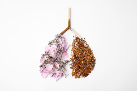 No smoking concept. Lungs made of dry tobacco, cigarettes and flowers on white background, flat layの写真素材