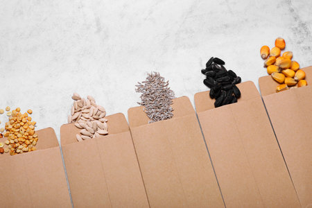 Many different vegetable seeds on light gray table, flat lay. Space for textの写真素材