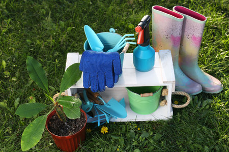 Pair of gloves, gardening tools, potted plant and rubber boots on grass outdoorsの写真素材