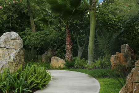 Beautiful view of the park with green plantsの写真素材