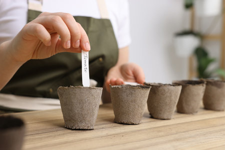 Woman inserting cards with names of vegetable seeds into peat pots at table indoors, closeup