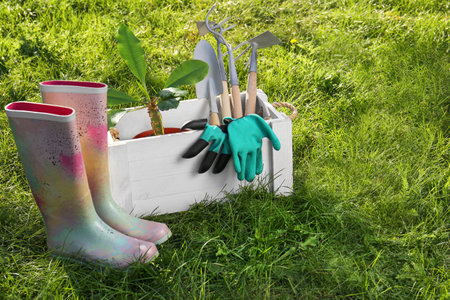 White wooden crate with plant, gloves, gardening tools and rubber boots on grass outdoorsの写真素材