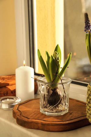 Beautiful bulbous plant and burning candle on windowsill indoors. spring timeの写真素材