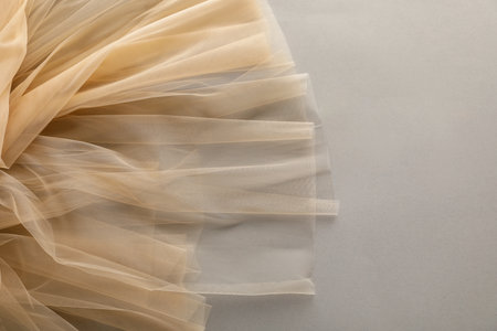 Beautiful tulle fabric on light gray background, top viewの写真素材