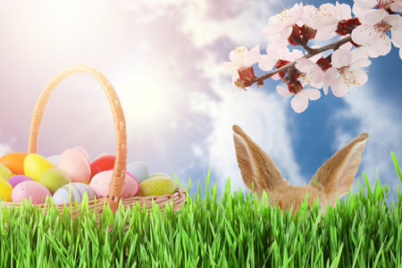 Bunny hiding near wicker basket full of Easter eggs in green grass