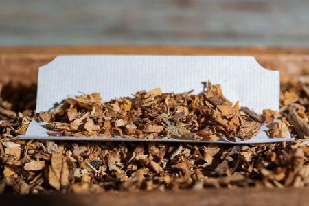 Paper and tobacco on table, closeup. Making hand rolled cigarette