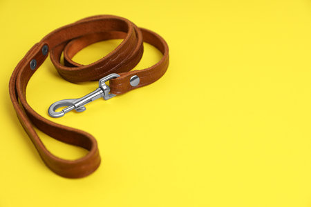 Brown leather dog leash on yellow background. Space for textの写真素材