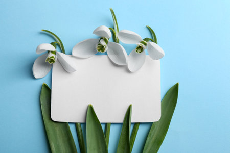 Beautiful snowdrops and paper card on light blue background, flat lay. Space for textの写真素材