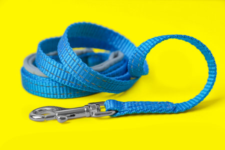 Blue dog leash on yellow background, closeupの写真素材
