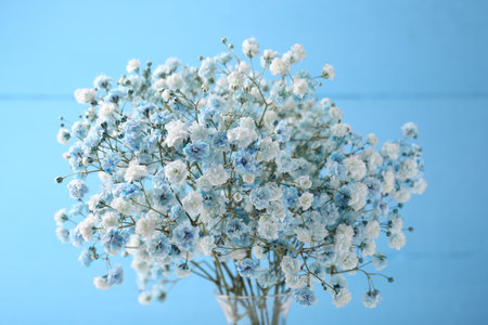 Beautiful dyed gypsophila flowers on light blue backgroundの写真素材