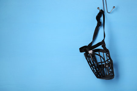 Black plastic dog muzzle hanging on light blue wooden wall, space for textの写真素材