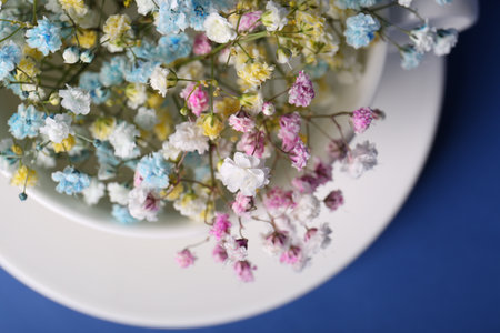 Beautiful gypsophila flowers in white cup on blue background, top viewの写真素材