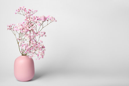 Beautiful gypsophila flowers in pink vase on white backgroundの写真素材