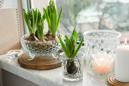Beautiful bulbous plants and burning candles on windowsill indoors. spring timeの写真素材